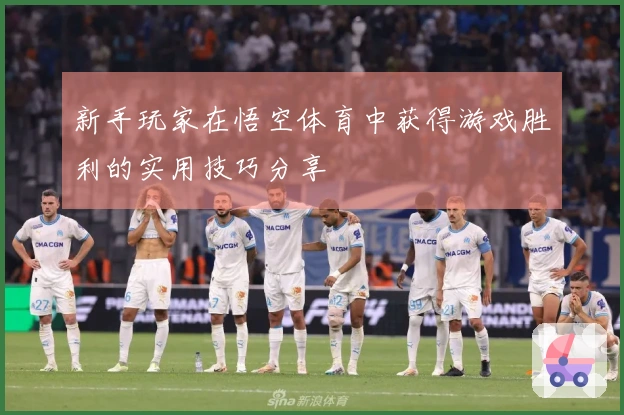 新手玩家在悟空体育中获得游戏胜利的实用技巧分享